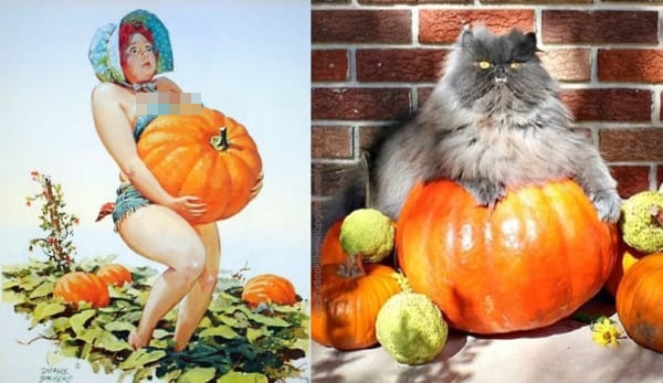 kucing pose model aw © 2016 brilio.net