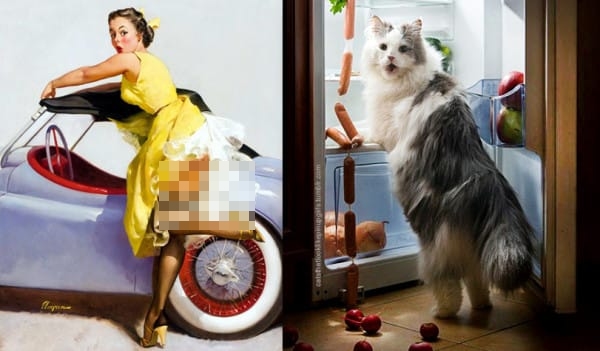 kucing pose model aw © 2016 brilio.net