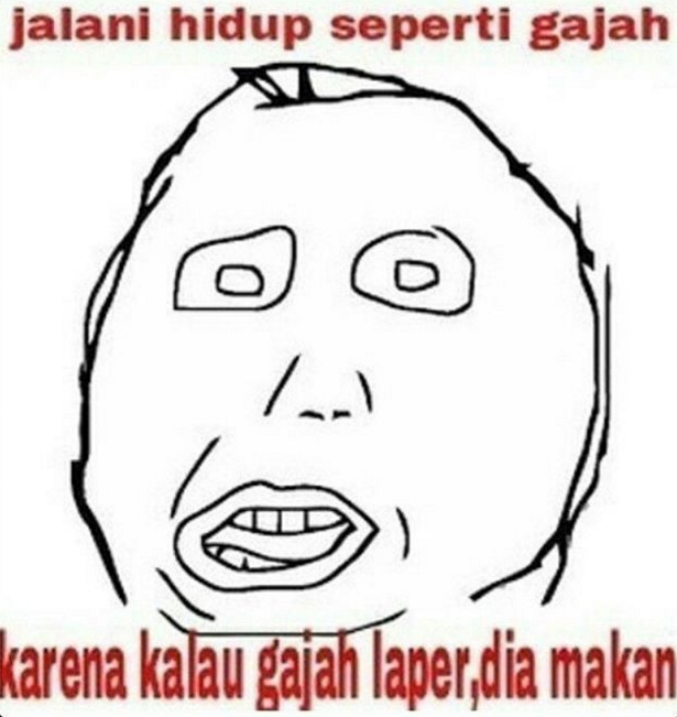 herp 2  © 2016 brilio.net