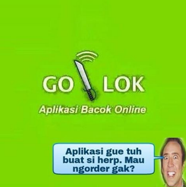 herp 2  © 2016 brilio.net