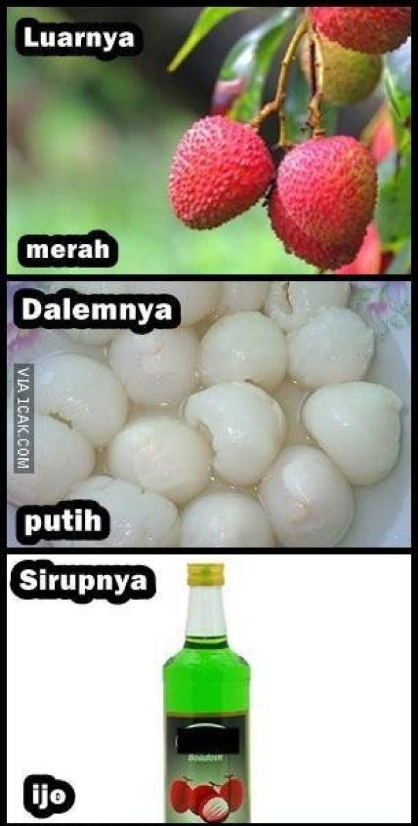 Maunya Apa © 2016 brilio.net Maunya Apa © 2016 brilio.net