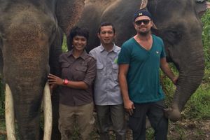 DiCaprio: Hutan hujan di Leuser salah satu yang terbaik di dunia