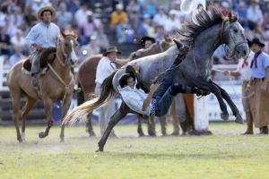 7 Gaya keren joki taklukkan kuda liar, ada yang sampai salto!