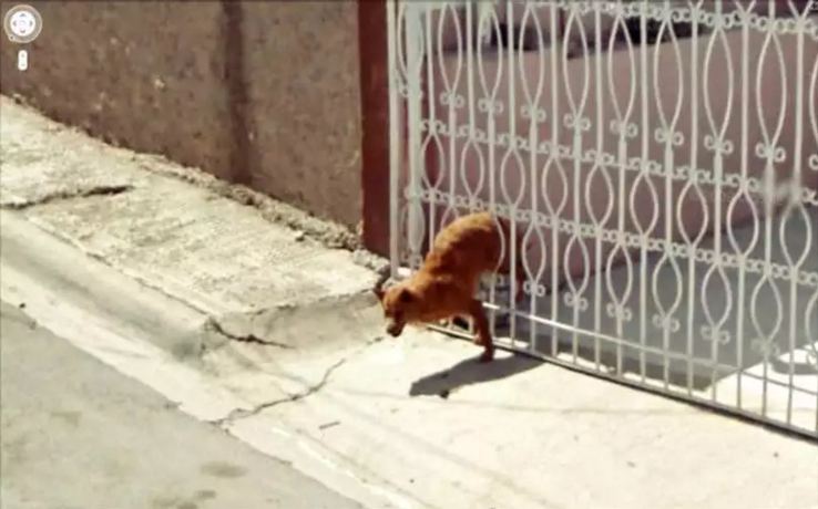 google street view moment © 2016 brilio.net