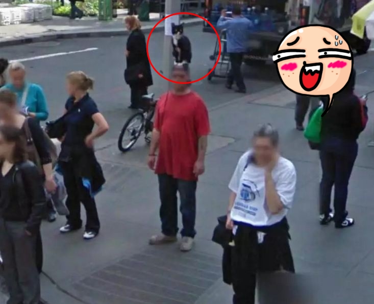 google street view moment © 2016 brilio.net