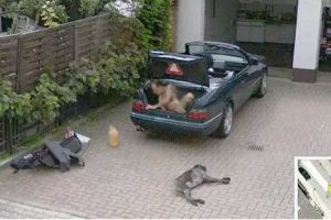 20 Momen absurd yang pernah tertangkap Google Street View, kocak!
