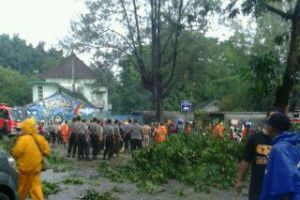 Tertimpa pohon tumbang, 2 orang meregang nyawa di Gembira Loka