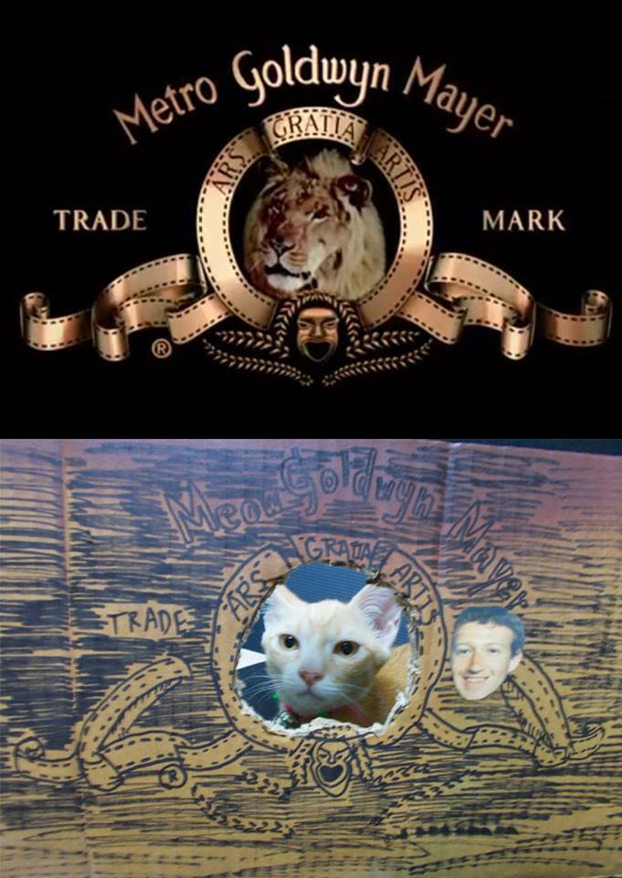 cosplay low budget aelah © 2016 brilio.net cosplay low budget aelah © 2016 brilio.net