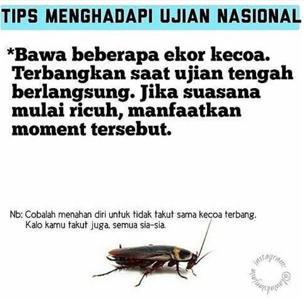 meme jelang un © 2016 brilio.net