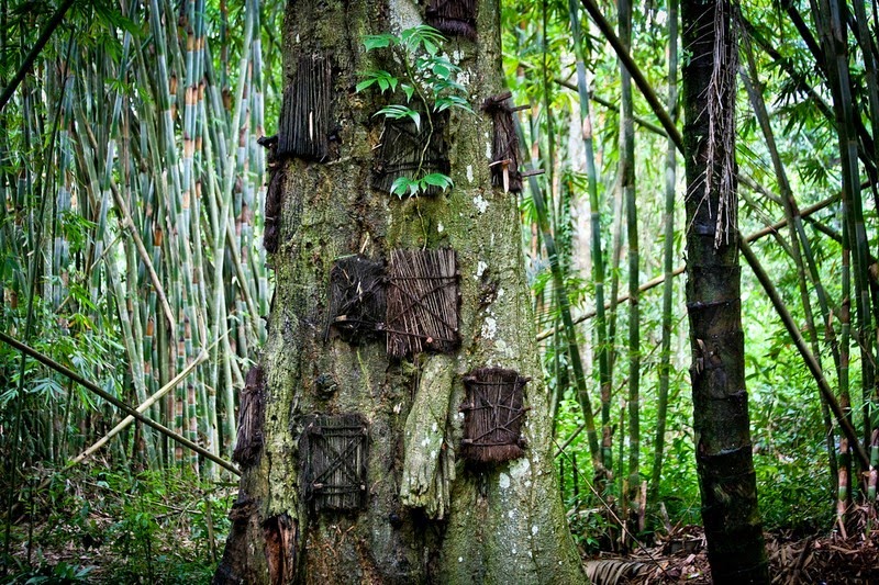 Pemakaman bayi © 2016 brilio.net