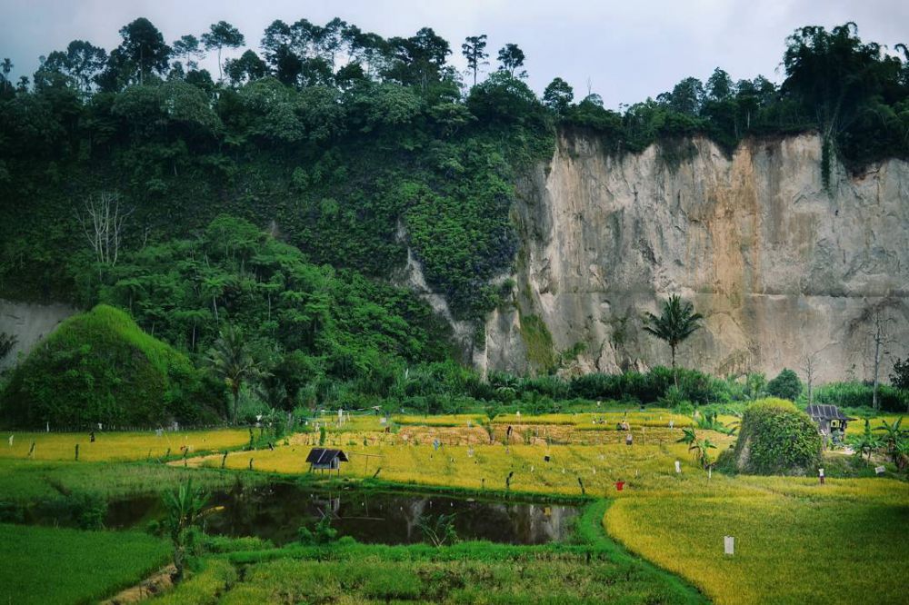 tempat piknik asoy lampung © 2016 brilio.net tempat piknik asoy lampung © 2016 brilio.net