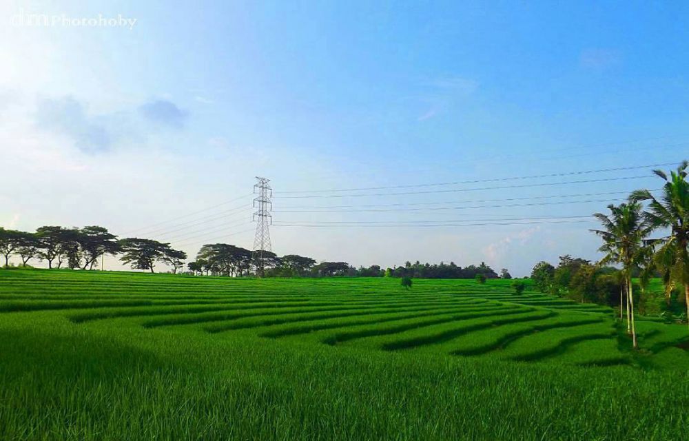 tempat piknik asoy lampung © 2016 brilio.net tempat piknik asoy lampung © 2016 brilio.net