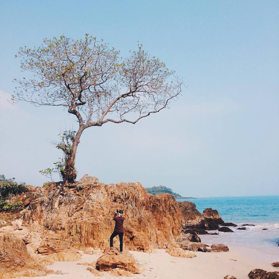 tempat piknik asoy lampung © 2016 brilio.net tempat piknik asoy lampung © 2016 brilio.net