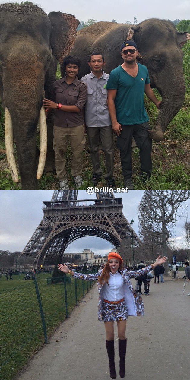 artis ke luar negeri © 2016 brilio.net artis ke luar negeri © 2016 brilio.net