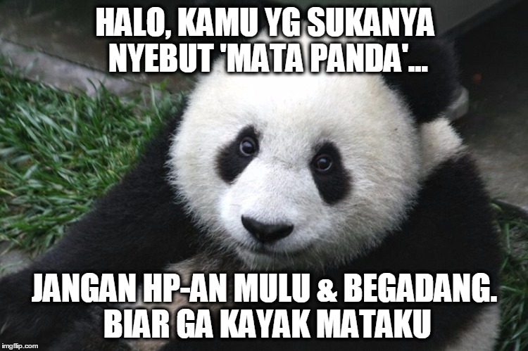 mata sentil insto  © 2016 brilio.net