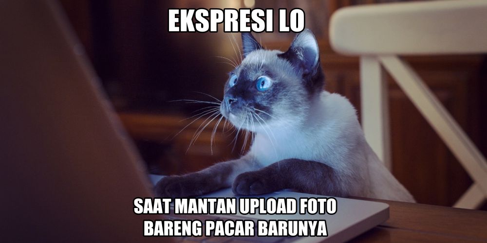 mata sentil insto  © 2016 brilio.net