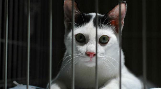 china ruwet  © 2016 brilio.net