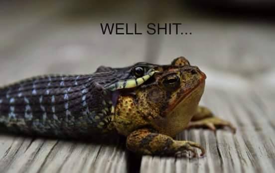 bad momen © 2016 brilio.net