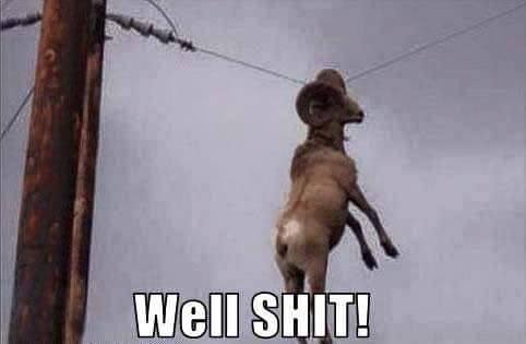 bad momen © 2016 brilio.net