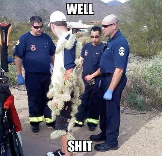 bad momen © 2016 brilio.net