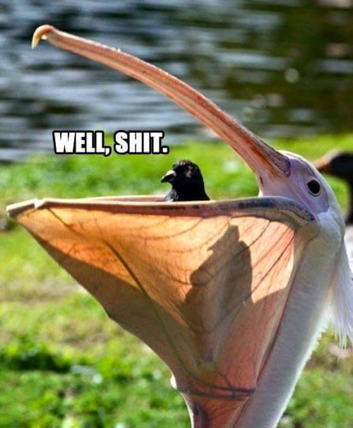 bad momen © 2016 brilio.net