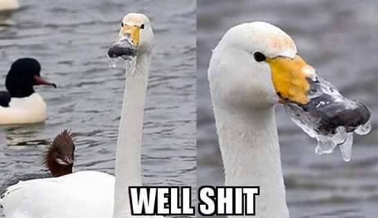 bad momen © 2016 brilio.net