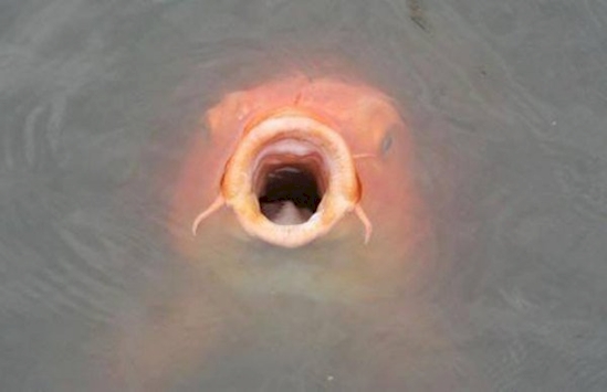 benda aneh ah © 2016 brilio.net