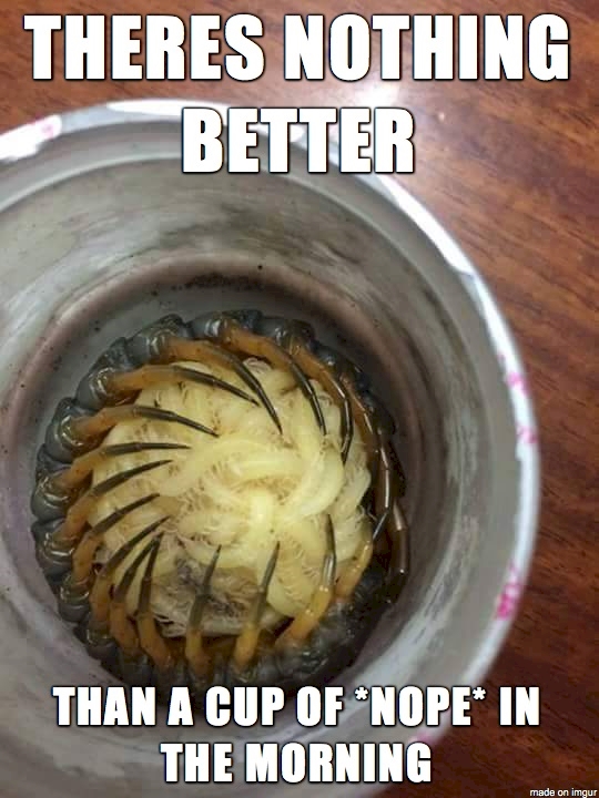 benda aneh ah © 2016 brilio.net