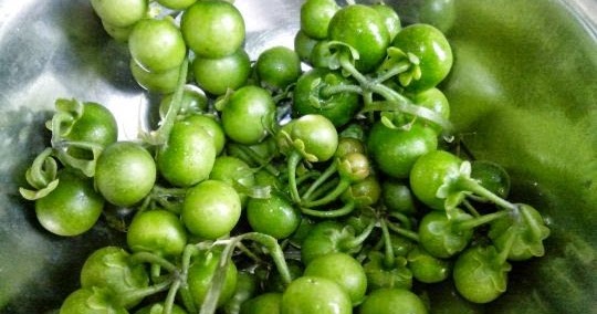 Leunca © 2016 brilio.net