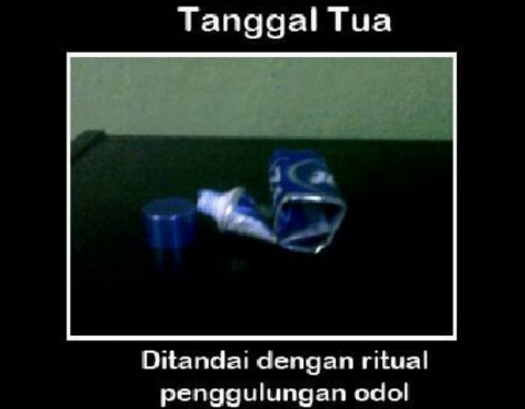 meme tua  © 2016 brilio.net meme tua  © 2016 brilio.net