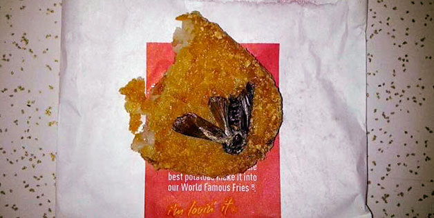 bangkai hewan dalam makanan © 2016 brilio.net bangkai hewan dalam makanan © 2016 brilio.net