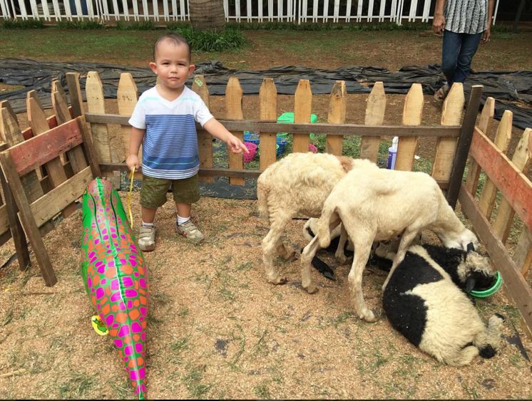 Elmayka © 2016 brilio.net Elmayka © 2016 brilio.net