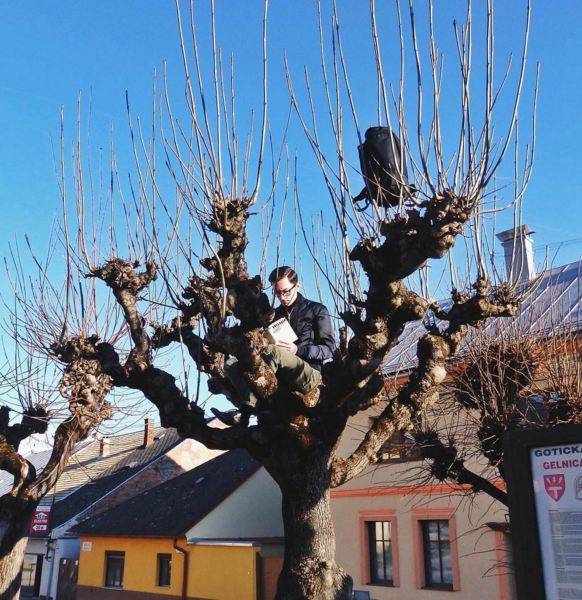 Book Calling  Jakub Pavlovsky Book Calling  Jakub Pavlovsky