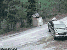 orang sayang hewan © 2016 brilio.net