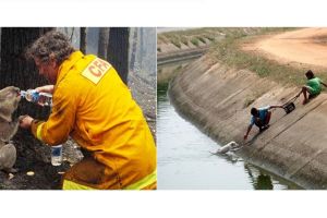 10 Foto ini tunjukkan kasih sayang manusia pada hewan, bikin terharu! 