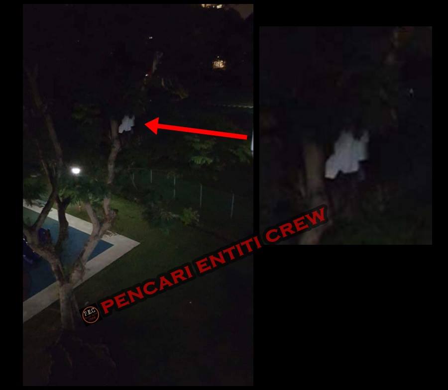 kuntilanak pohon © 2016 brilio.net kuntilanak pohon © 2016 brilio.net