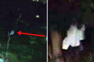 Sosok berbaju putih gelantungan di pohon bikin geger netizen, serem!