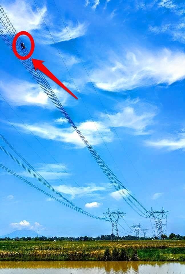 aksi akrobat petugas pln © 2016 brilio.net