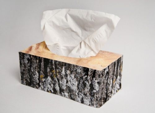 Tempat Tissue © 2016 brilio.net Tempat Tissue © 2016 brilio.net