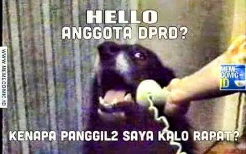 Meme Anjing © 2016 brilio.net