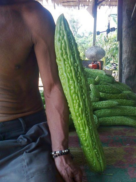 buah raksasa  © 2016 brilio.net