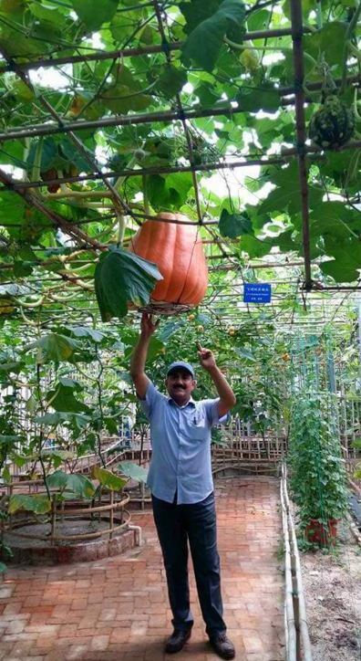 buah raksasa  © 2016 brilio.net