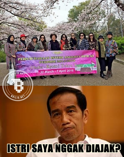 meme istri dpr  © 2016 brilio.net