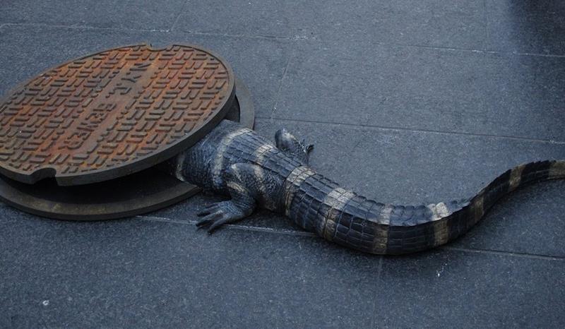 kota newyork paling gila © 2016 brilio.net kota newyork paling gila © 2016 brilio.net