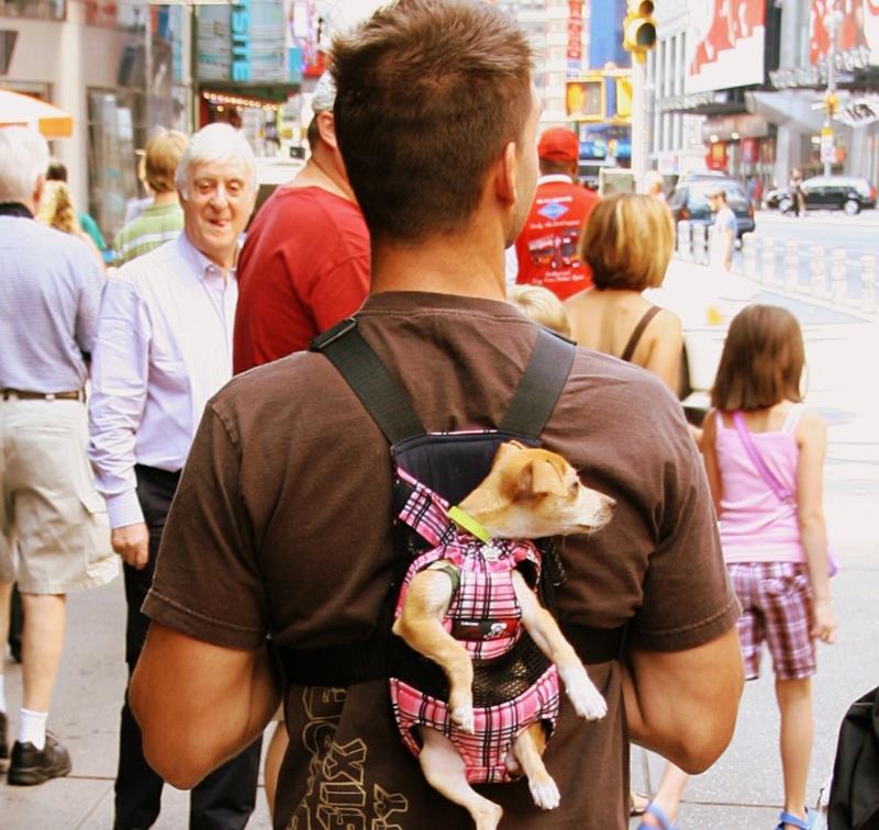 kota newyork paling gila © 2016 brilio.net kota newyork paling gila © 2016 brilio.net