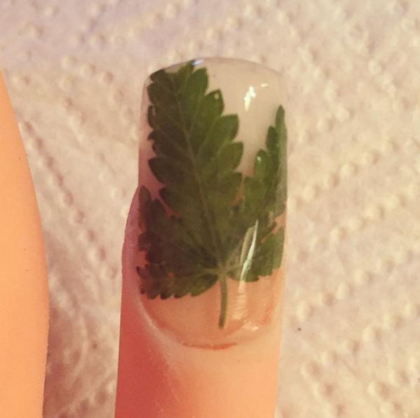 Weed Nail © 2016 brilio.net Weed Nail © 2016 brilio.net