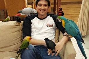 Begini kegiatan artis yang jadi anggota DPR, mewakili rakyat nggak ya?