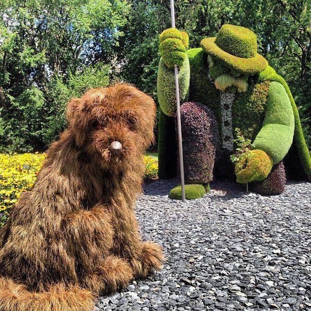 Tanaman Pagar  © 2016 brilio.net