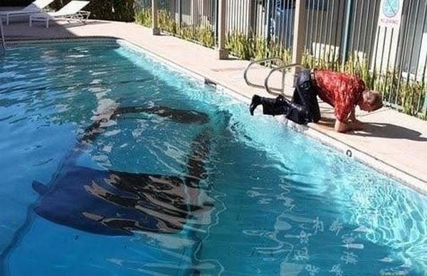 mobil aneh tapi nyata © 2016 brilio.net