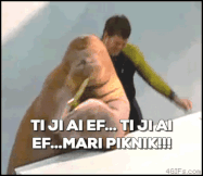  meme weekend © 2016 brilio.net